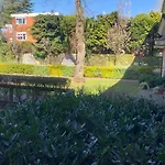 Lime Tree Apartment